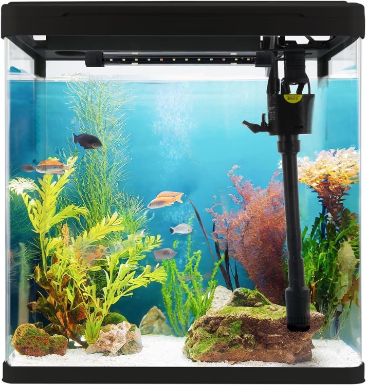 Pumpe und Filter, Glasbecken für Fische und Wasserpflanzen