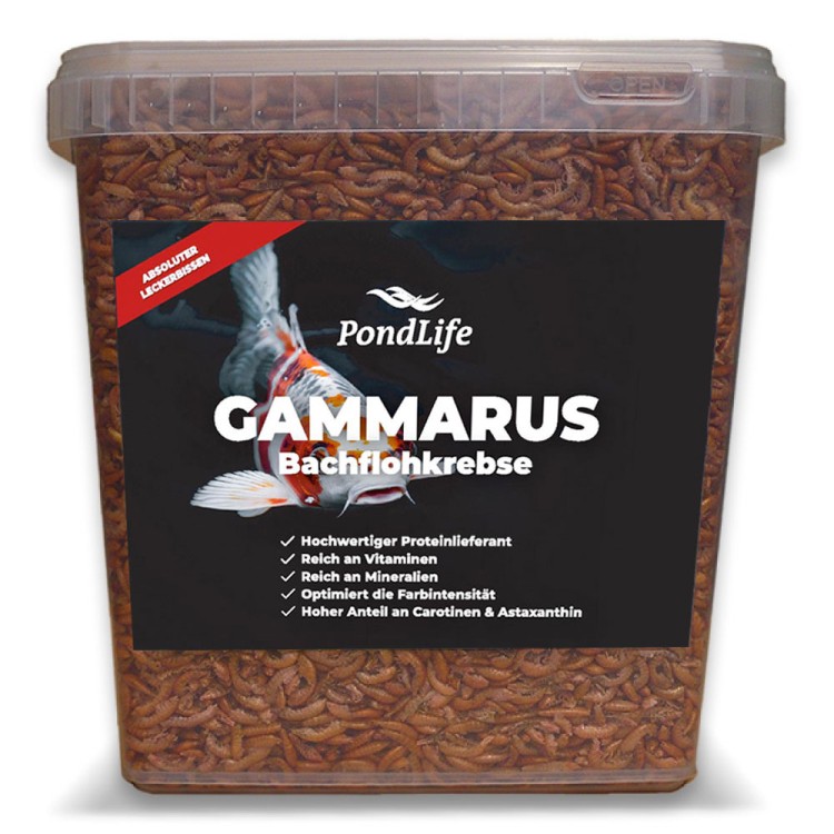 Gammarus (Bachflohkrebse|Koi Leckerbissen) von Pondlife