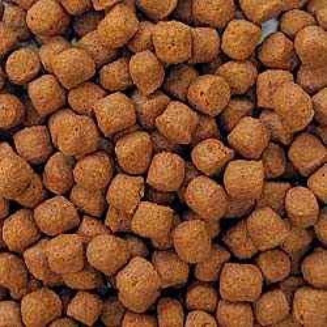 AL-Profi-Futter Orange d 6 mm 15 kg, 47% Protein, 7% Fett