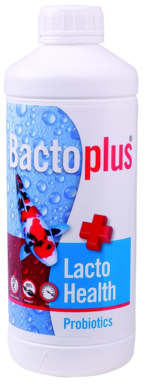 BactoPlus Teichbakterien Lacto Health 1LTR (20.000LTR)