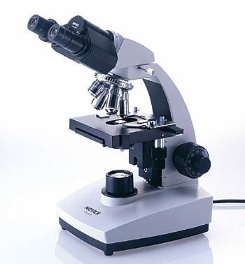 Mikroskop binokular