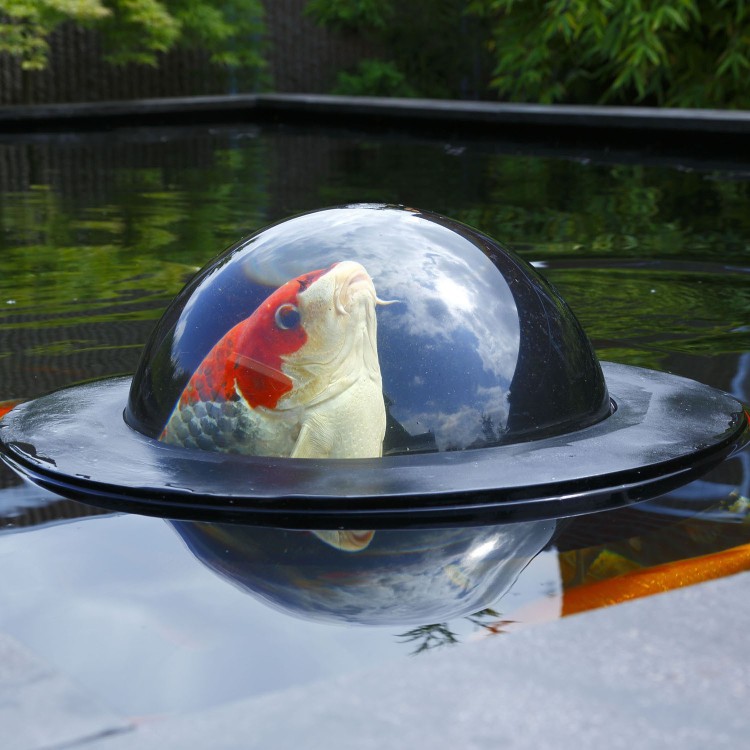 Velda Floating Fish Sphere Ø 35 cm - treibende Beobachtungskugel für Fische