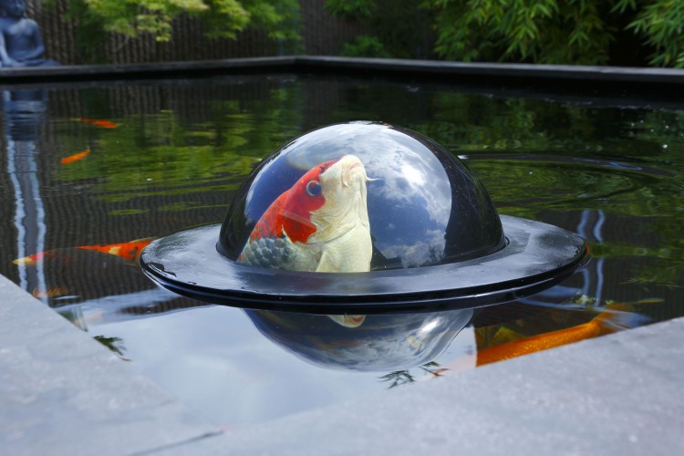 Velda Teichdekoration Beobachtungskugel Floating Fish Sphere L