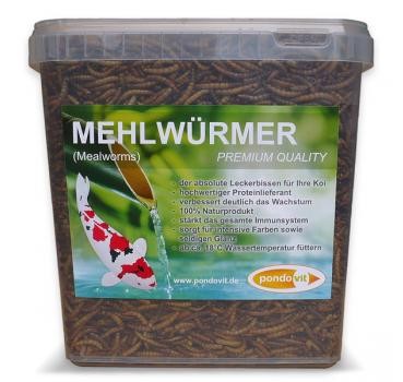 Mehlwürmer 5000 ml
